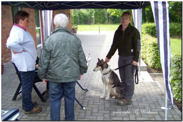 Zuchtzulassung 2010 025.JPG